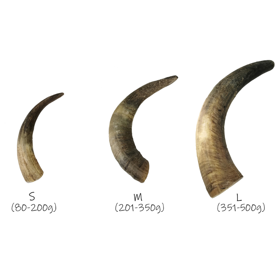 BIMORDISCOS Cuerno de vaca / toro para perros, , large Imagen numero 4